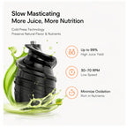 Hicloud Slow Juicer, 5.4" Extra Wide Feed Chute for Whole Fruits & Vegetables, Cold Press Masticating Juicer with 450W Motor